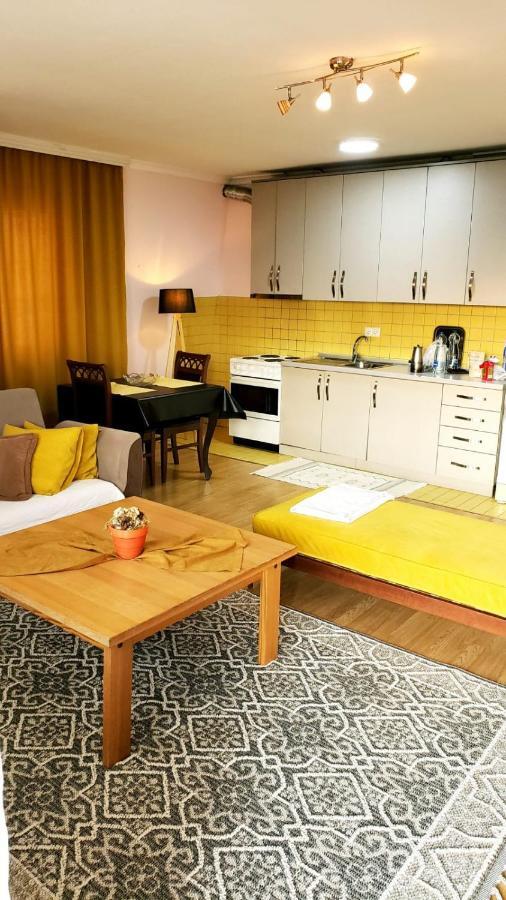 Gorgeous Apartment With City View In The City Center 普里什蒂纳 外观 照片